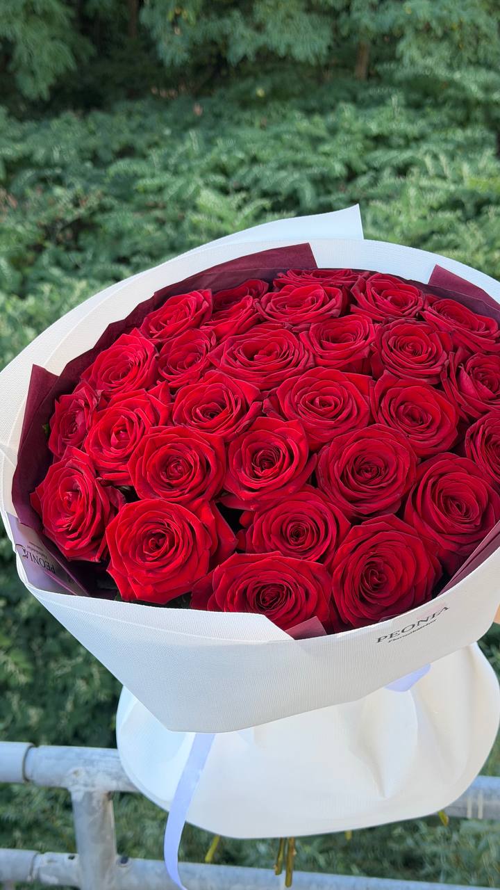 29 Rot Rosen